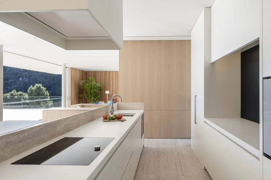 Domum Projects — BN1 House