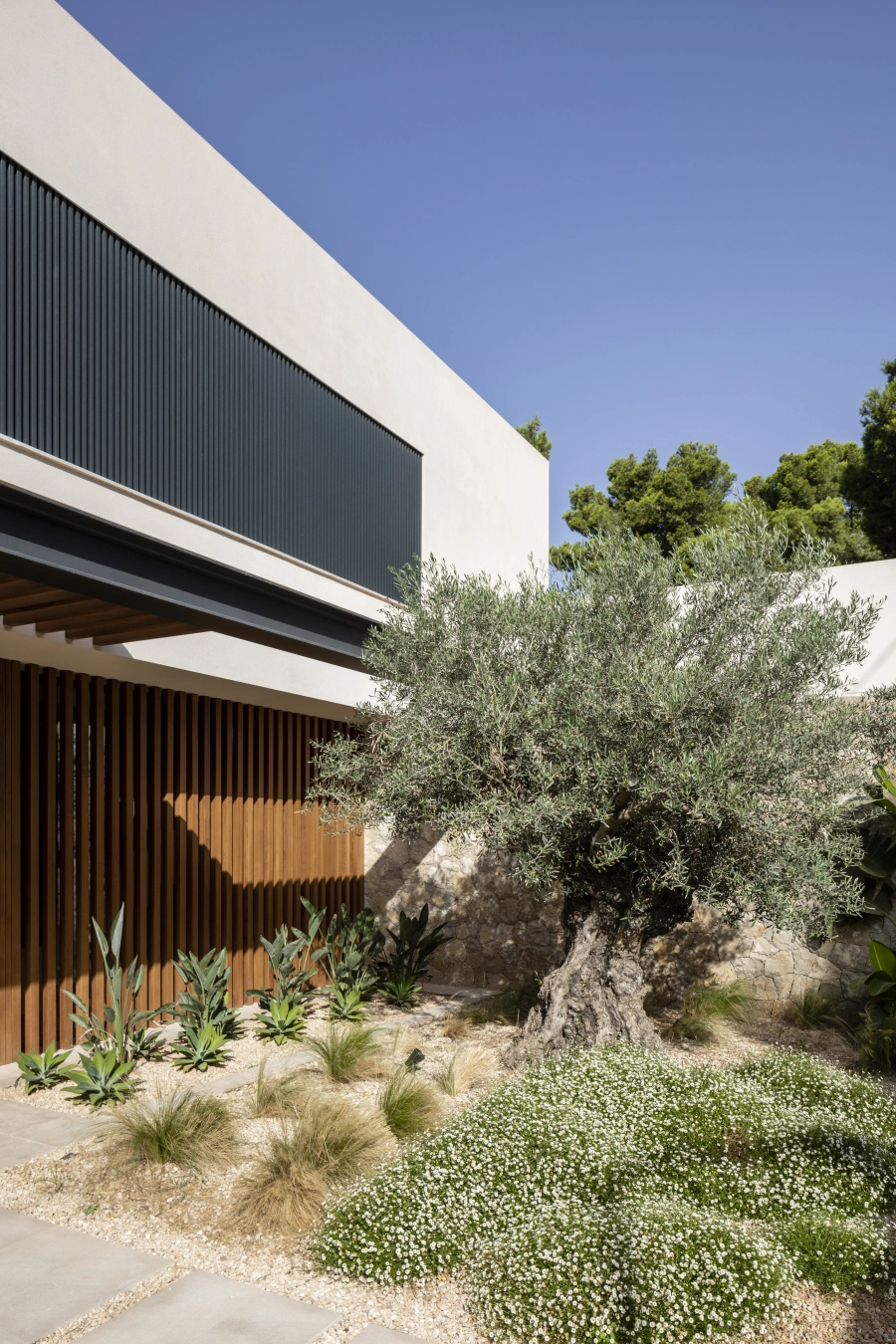 Domum Projects — FL House