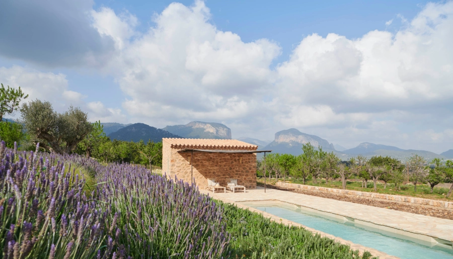 Domum Projects — Alaró House II