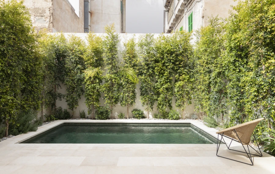 Domum Projects — Santa Catalina House