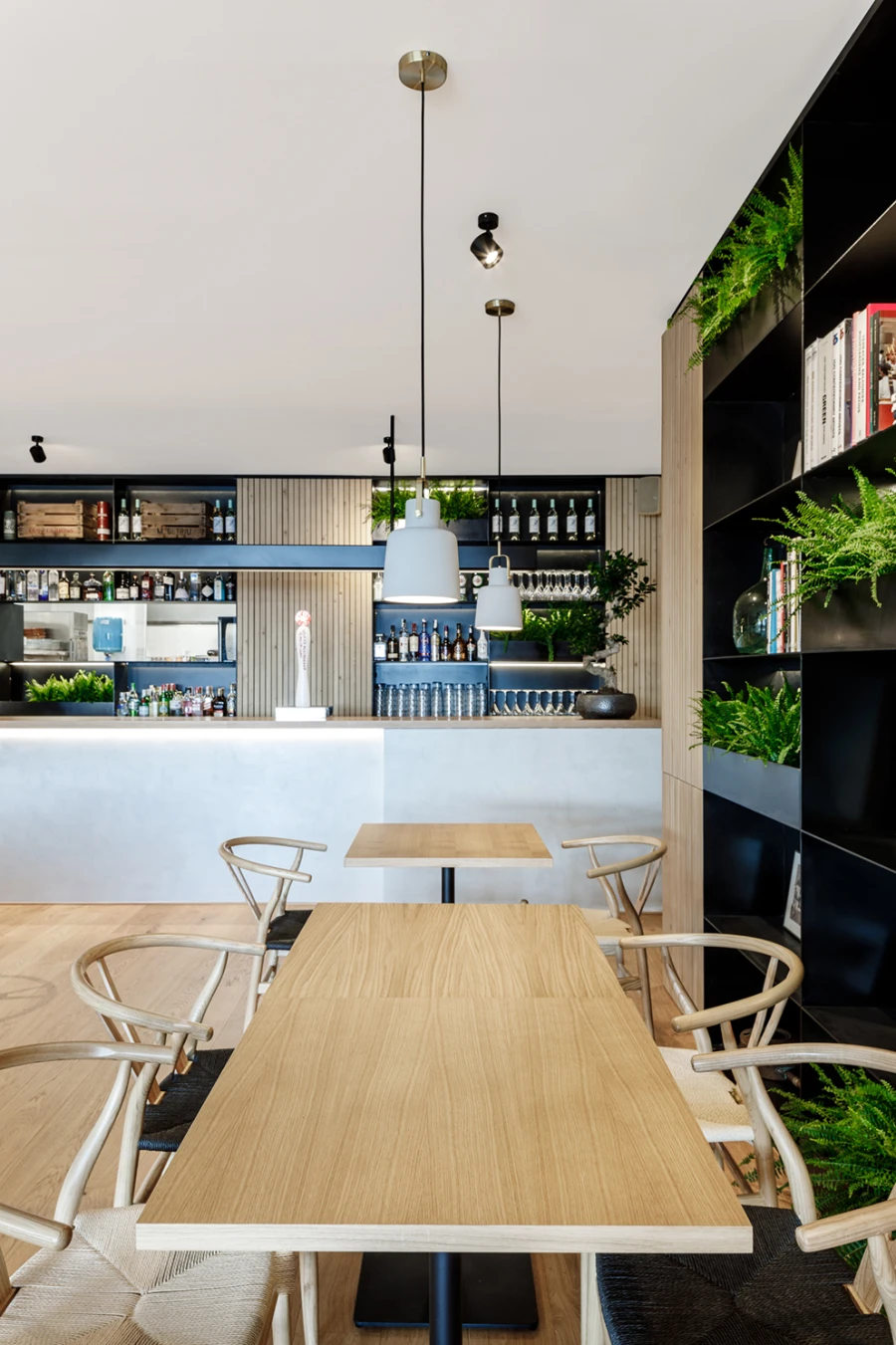 Domum Projects — Sa Lliga Marítim