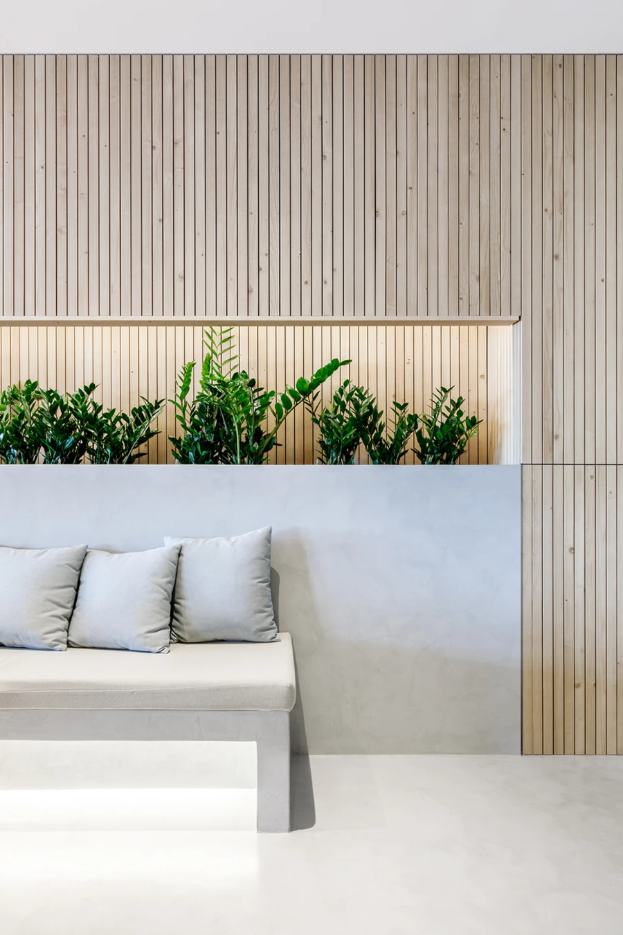 Domum Projects — Sa Lliga Marítim