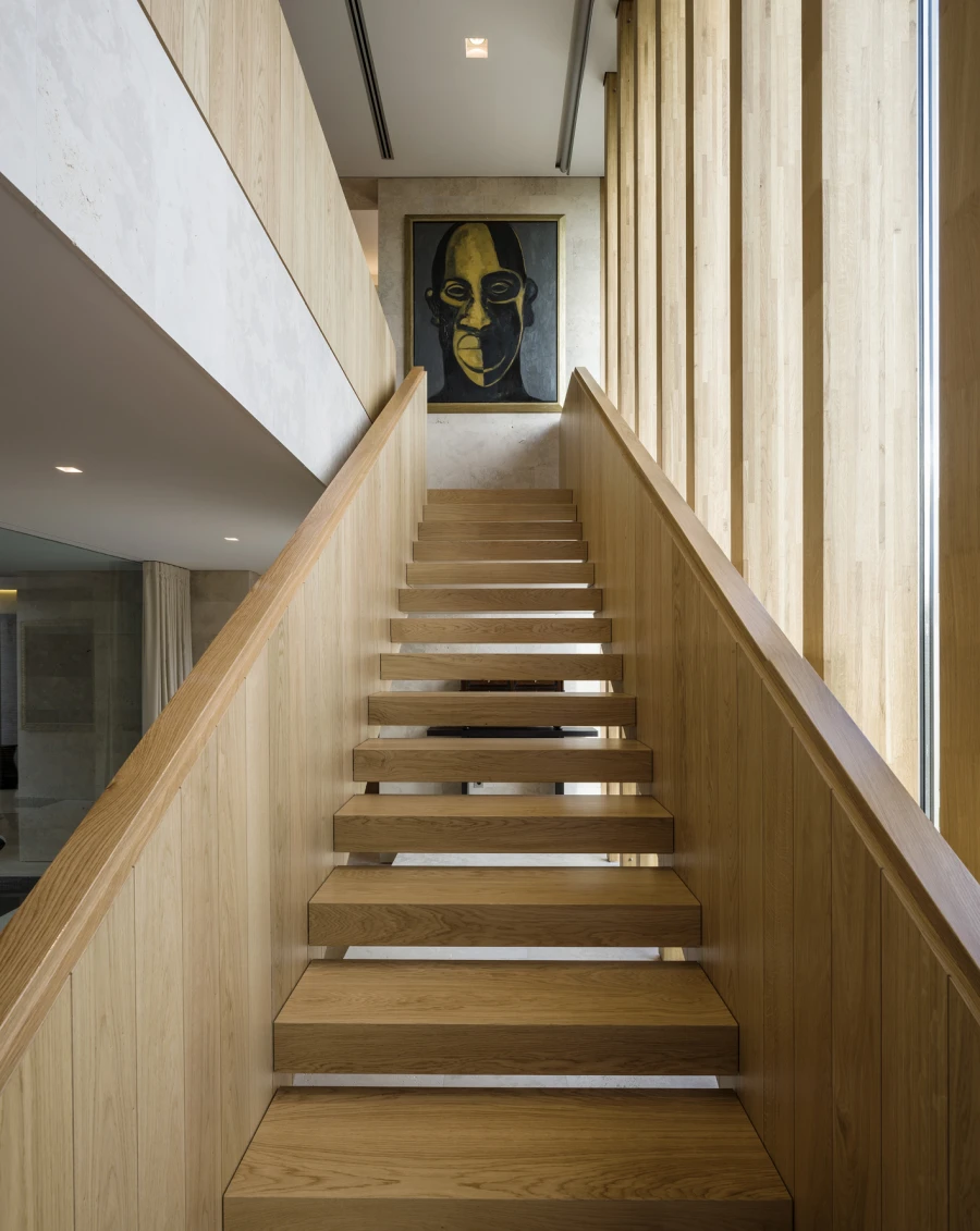 Domum Projects — SV House