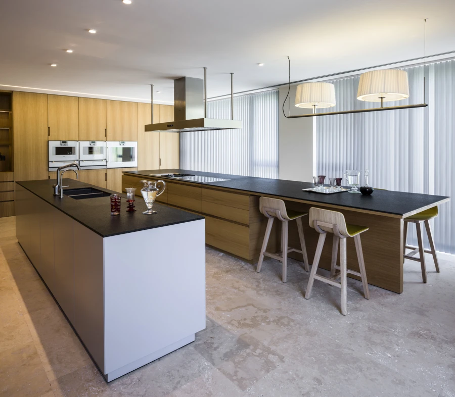 Domum Projects — SV House