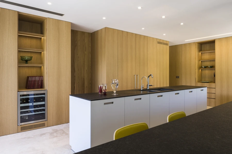 Domum Projects — SV House