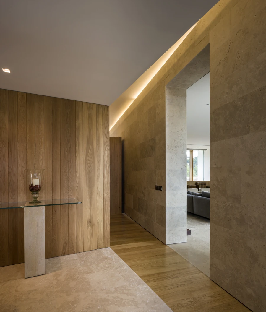 Domum Projects — SV House